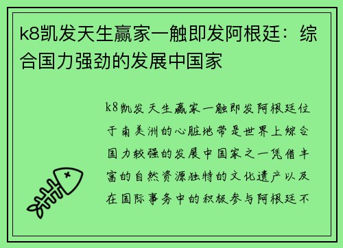 k8凯发天生赢家一触即发阿根廷：综合国力强劲的发展中国家